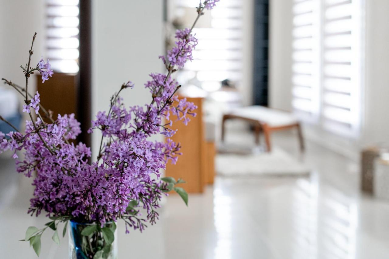 Veria Panorama Luxury Suite With Garden. Экстерьер фото